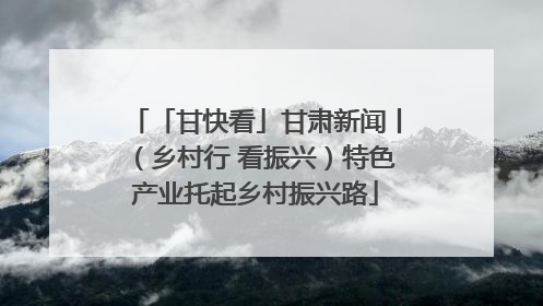 「甘快看」甘肃新闻丨（乡村行 看振兴）特色产业托起乡村振兴路