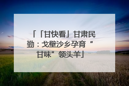 「甘快看」甘肃民勤：戈壁沙乡孕育“甘味”领头羊