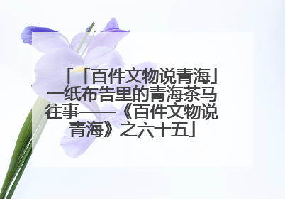 「百件文物说青海」一纸布告里的青海茶马往事——《百件文物说青海》之六十五