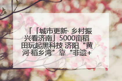 「城市更新· 乡村振兴看济南」5000亩稻田玩起黑科技 济阳“黄河·稻乡湾”靠“非遗+露营”火出圈