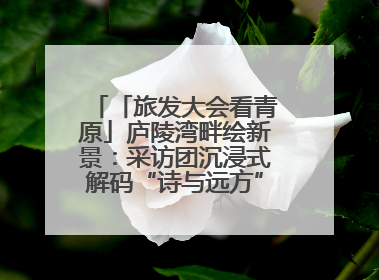 「旅发大会看青原」庐陵湾畔绘新景：采访团沉浸式解码“诗与远方”（图）