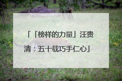「榜样的力量」汪贵清：五十载巧手仁心