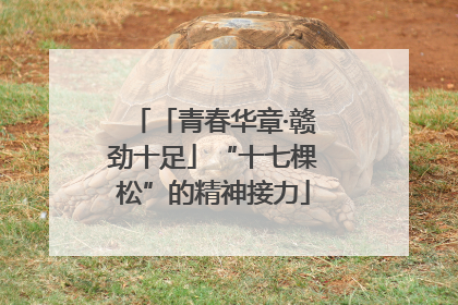 「青春华章·赣劲十足」“十七棵松”的精神接力