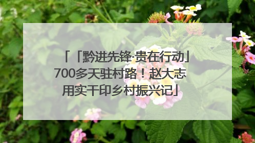 「黔进先锋·贵在行动」700多天驻村路！赵大志用实干印乡村振兴记