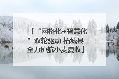 “网格化+智慧化”双轮驱动 柘城县全力护航小麦夏收