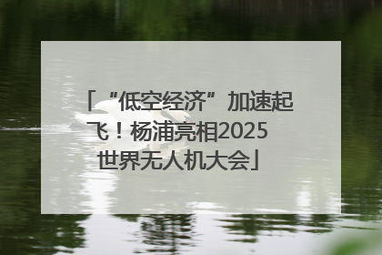 “低空经济”加速起飞！杨浦亮相2025世界无人机大会
