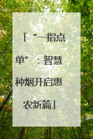“一指点单”：智慧种烟开启惠农新篇