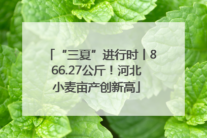 “三夏”进行时丨866.27公斤！河北小麦亩产创新高