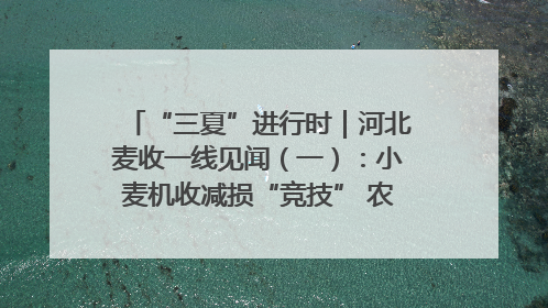 “三夏”进行时｜河北麦收一线见闻（一）：小麦机收减损“竞技” 农机高手麦田“过招”