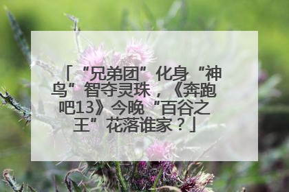 “兄弟团”化身“神鸟”智夺灵珠，《奔跑吧13》今晚“百谷之王”花落谁家？
