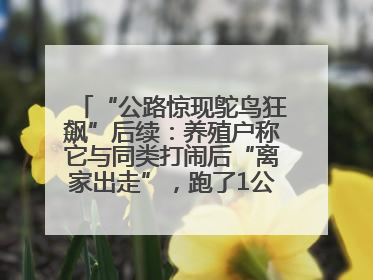 “公路惊现鸵鸟狂飙”后续：养殖户称它与同类打闹后“离家出走”，跑了1公里被找回