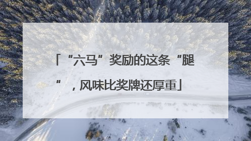 “六马”奖励的这条“腿”，风味比奖牌还厚重