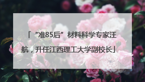 “准85后”材料科学专家汪航，升任江西理工大学副校长