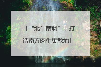 “北牛南调”，打造南方肉牛集散地
