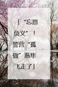 “忘恩负义”！警营“孤傲”燕隼飞走了