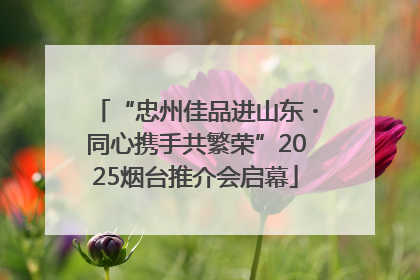 “忠州佳品进山东・同心携手共繁荣”2025烟台推介会启幕