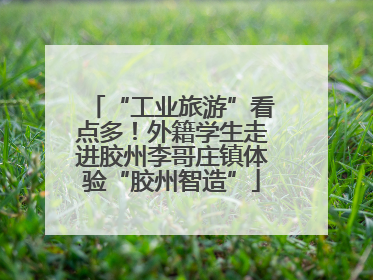 “工业旅游”看点多！外籍学生走进胶州李哥庄镇体验“胶州智造”