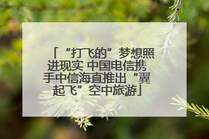 “打飞的”梦想照进现实 中国电信携手中信海直推出“翼起飞”空中旅游