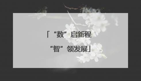 “数”启新程 “智”领发展