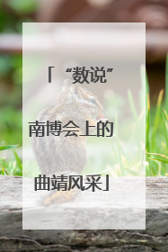 “数说”南博会上的曲靖风采