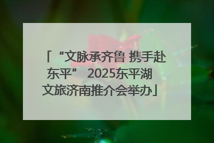 “文脉承齐鲁 携手赴东平” 2025东平湖文旅济南推介会举办