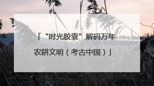 “时光胶囊”解码万年农耕文明（考古中国）