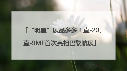“明星”展品多多！直-20、直-9ME首次亮相巴黎航展