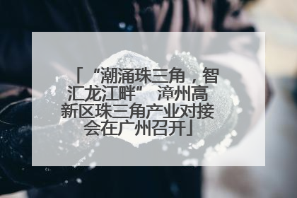 “潮涌珠三角，智汇龙江畔” 漳州高新区珠三角产业对接会在广州召开