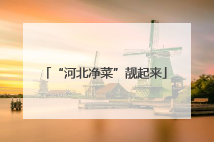 “河北净菜”靓起来
