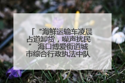 “海鲜运输车凌晨占道卸货，噪声扰民” 海口博爱街道城市综合行政执法中队：将联合交警加强长堤路一带巡逻
