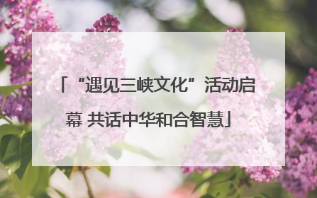 “遇见三峡文化”活动启幕 共话中华和合智慧