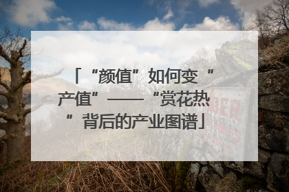 “颜值”如何变“产值”——“赏花热”背后的产业图谱