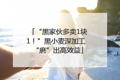 “黑家伙多卖1块1！”黑小麦深加工“磨”出高效益