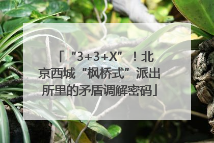 “3+3+X”！北京西城“枫桥式”派出所里的矛盾调解密码