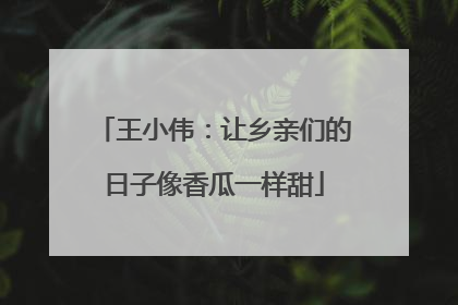 王小伟：让乡亲们的日子像香瓜一样甜