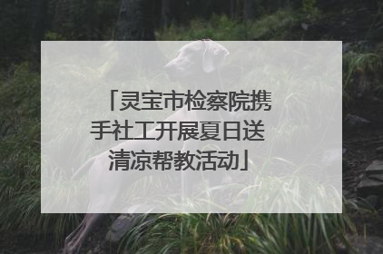 灵宝市检察院携手社工开展夏日送清凉帮教活动