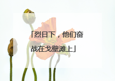 烈日下，他们奋战在戈壁滩上