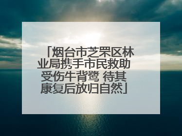 烟台市芝罘区林业局携手市民救助受伤牛背鹭 待其康复后放归自然
