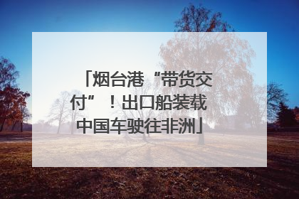 烟台港“带货交付”！出口船装载中国车驶往非洲