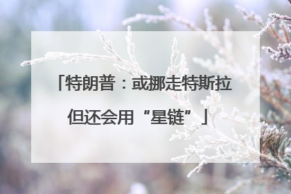 特朗普：或挪走特斯拉 但还会用“星链”