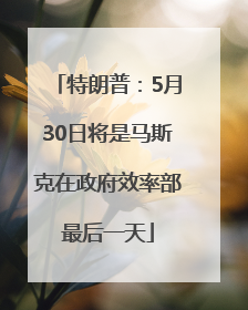 特朗普：5月30日将是马斯克在政府效率部最后一天
