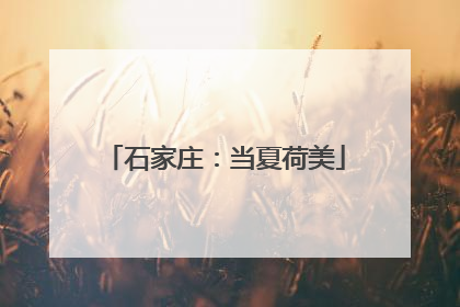石家庄：当夏荷美