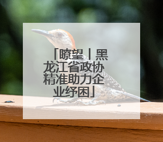 瞭望丨黑龙江省政协精准助力企业纾困