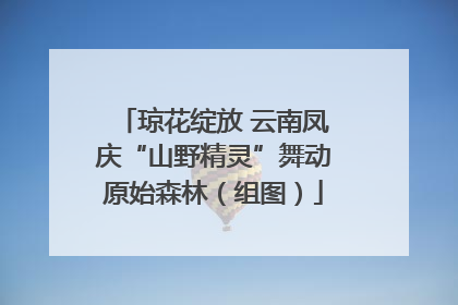 琼花绽放 云南凤庆“山野精灵”舞动原始森林（组图）