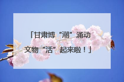 甘肃博“潮”涌动 文物“活”起来啦！