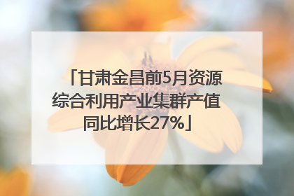 甘肃金昌前5月资源综合利用产业集群产值同比增长27%