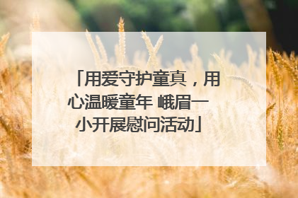 用爱守护童真，用心温暖童年 峨眉一小开展慰问活动