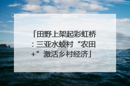 田野上架起彩虹桥：三亚水蛟村“农田+”激活乡村经济