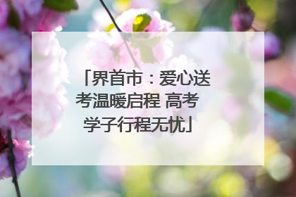 界首市：爱心送考温暖启程 高考学子行程无忧