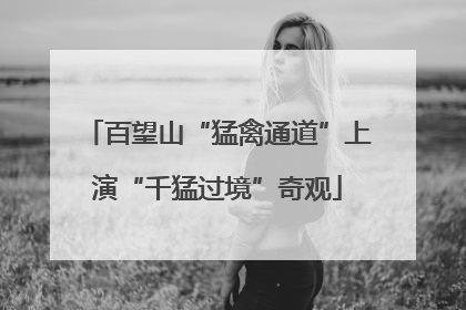 百望山“猛禽通道”上演“千猛过境”奇观